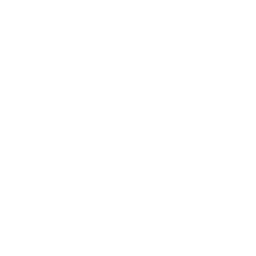 crown animated GIF emoji from FriendZone | Make Friends ⋅ Fun Chill Active Chat ⋅ VC Social Gaming ⋅ Memes ⋅ Nitro Emojis ⋅ Anime