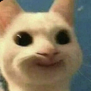 emoji_16 Discord Emoji - 𓆩⟡『𝐍𝐎𝐗𝐈𝐒』⟡𓆪