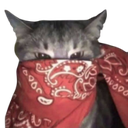 4373redbandanacat custom emote - CommunityOne Builders Help