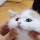 SA_catSquish animated Discord emote from Lovers Cafe™ | Indian Discord Server • Nitro • Voice Chat • Active • India • Hangout • Gaming • SFW