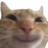 happycat Discord Emoji - UnoRouter | ChatGPT Claude Gemini Character Janitor CAI Roleplay RP Vibecoding SillyTavern DeepSeek
