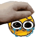 DE_sobemoji animated Discord emote | Trophy's Paradise