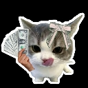 A cute cat with a pink bow holding a fan of dollar bills while licking its lips.