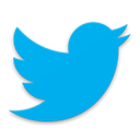 twitterlogo custom emote from The Rainbro's