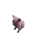 BingusDance animated Discord emote from Besties Community