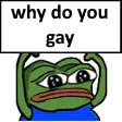 why_do_you_gay Discord Emoji - Ga[y]ming House