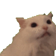 AnimatedCatMyaaa animated GIF emoji | the gaang