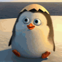 rhello animated Discord emote - The Sports Garage🏆