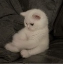 emoji_3 Discord Emoji | خاص