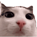 8324plink animated GIF emoji | DreamSkin