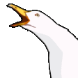 c_goosescream animated GIF emoji from 🎤 Riff-Off | Singing, Games, Daily Events, Community