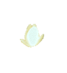 0_flower animated emote | gooncord