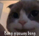 NC_BangGipawayBang custom emote | Noxious eSports