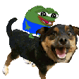 peperidedog animated emote - Dadscord | Active VC Discord • SFW • Anime • Chill • Social • Emojis • VC • Active Voice Chat