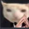 Screenshot20260413210323 custom emote - Vandox_YT