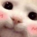 CuteCat Discord sticker | Besties Community