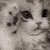 cuteCat animated emote - Lucid Love ☾  Relationship ⭑ Social ⭑ Gaming ☽