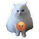 emoji_16 custom emote | ✧･ﾟ: ✧ 𝑺𝒕𝒂𝒓𝑬𝒏𝒕𝒆𝒓𝒏𝒂𝒍 ✧ :･ﾟ✧