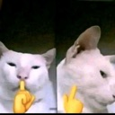 emoji_31 custom emote | The Saberhood