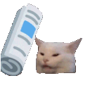 bo_MaroMaro animated Discord emote from CommunityOne Builders Help