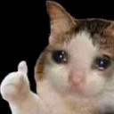 esta_bien custom emote - ꧁｡ﾟ✦ ᴄᴏʀᴇʙɪᴛs ᴄᴏᴍᴍᴜɴɪᴛʏ ✦｡ﾟ꧂