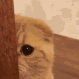 emoji_50 animated GIF emoji from ♈  𝐃𝐌𝐍  𝐂𝐎𝐌𝐌𝐔𝐍𝐈𝐓𝐘