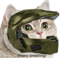 A cat wearing a green Master Chief helmet with the text heavy breathing written underneath.
