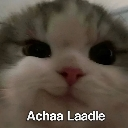 heheh custom emote from .✦ ݁˖  𝐃𝐈𝐑𝐄𝐖𝐎𝐋𝐅 𝐃𝐄𝐍 .✦ ݁˖
