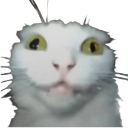 298299crazykitty1 Discord sticker | Kings