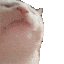 5498_catJAM animated emote - ՞. .՞𐦯 Verify/Sfw/ntx ⸝⸝ ΛƧƬЯYX  ™