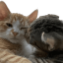 emoji_24 custom emote from ma&mo 4ever