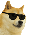 CH_EpicDoge animated Discord emote from 10 Sets Of Failure🏋🏽