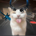 emoji_244 custom emote from (っ◔◡◔)っ ♥ Infinity Hub ♥™