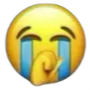 damn custom emote | BlockMench
