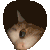 kittypeak animated Discord emote | Dadscord | Active VC Discord • SFW • Anime • Chill • Social • Emojis • VC • Active Voice Chat
