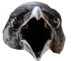 c5 custom emote | UFOlogy