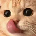 CatLick2 Discord sticker - Heart.exe