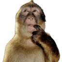 monkeythink custom emote | Cliptic | Clipping Discord