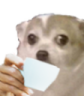 chihuasip custom emote | Mirror Universe