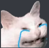 crying_cat Discord sticker | ꧁⎝ 𓆩༺La_TOTI98༻𓆪 ⎠꧂