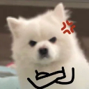 AggrievedDog Discord sticker | ✨КиберЛапки🎮