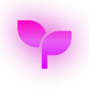 age custom emote from Bux Stock | #1 Cheap Robux, Accounts, Limiteds, Vbucks, Valorant Points & more