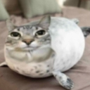 emoji_18 Discord Emoji - Clan LOL