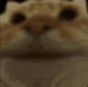 catsmile Discord sticker | The Final Third