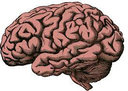 brains Discord sticker from NYC Nerd Rocks