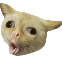 catcough custom emote | Adultcord│Social & Gaming