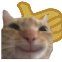 CatSmilling Discord sticker - Moderator Academy