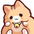 Chubby orange kitten with a blue collar and bell smiling happily.