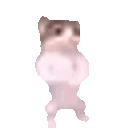 CatfistBumpAnim animated Discord emote | offqtz