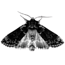 gothmoth Discord sticker from Voria (BackUp) discord.gg/voria